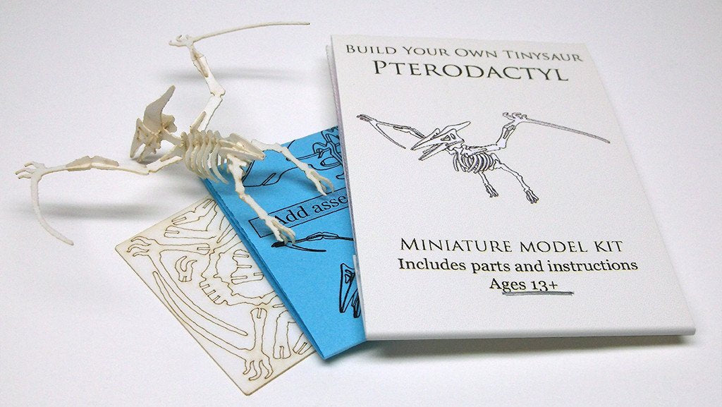 Pterodactyl bare bones kit