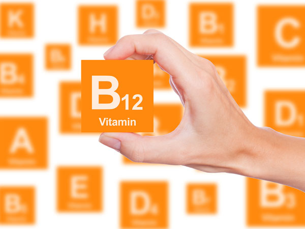 vitamin B12 cricket protein