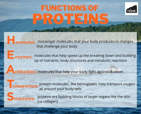 Näak Nutrition Blog | Complete Proteins for Endurance Athletes