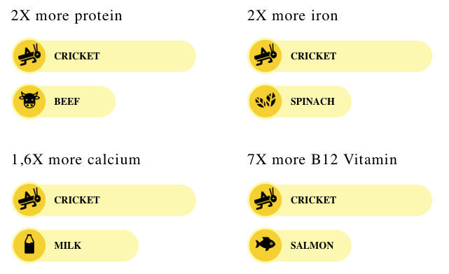 cricket: alimentazione sostenibile