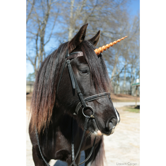 Unicorn Horn for Horses with Adjustable Straps / 8 inch Horn – Unicorn  Corner
