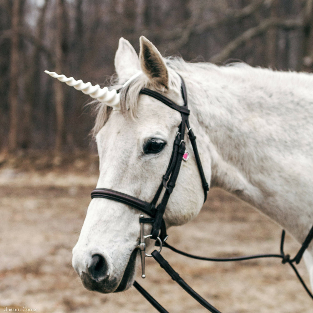unicorn-horn-for-horses-and-ponies-unicorn-horn-browband-unicorn-corner