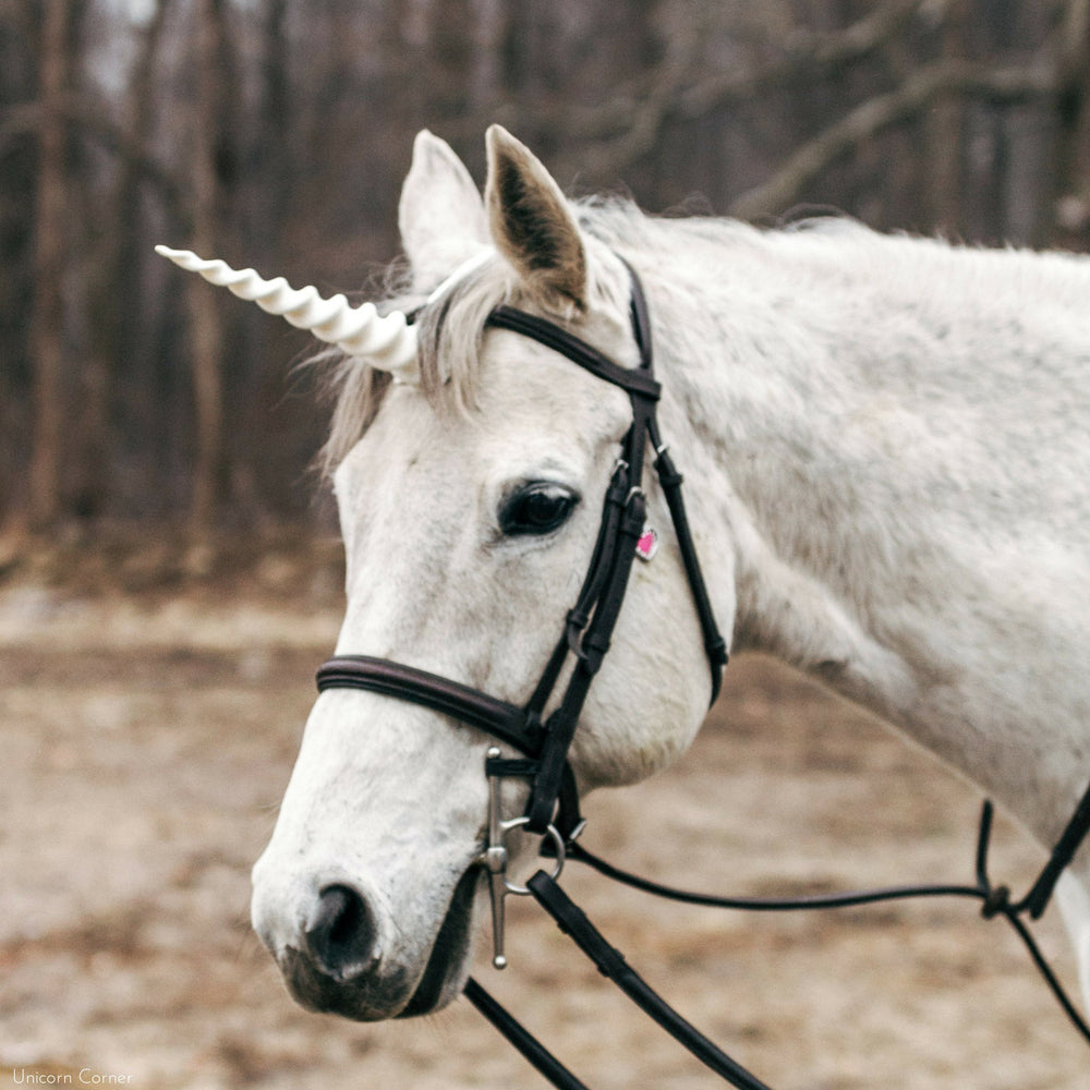 unicorn-horn-for-a-horse-diy-unicorn-horn-for-horse-dewsp