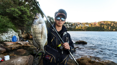 90 minute Sydney harbour Bream ISO fishing – Isofishinglifestyle