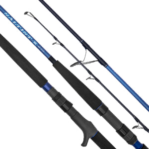 20 TD SALTWATER RODS