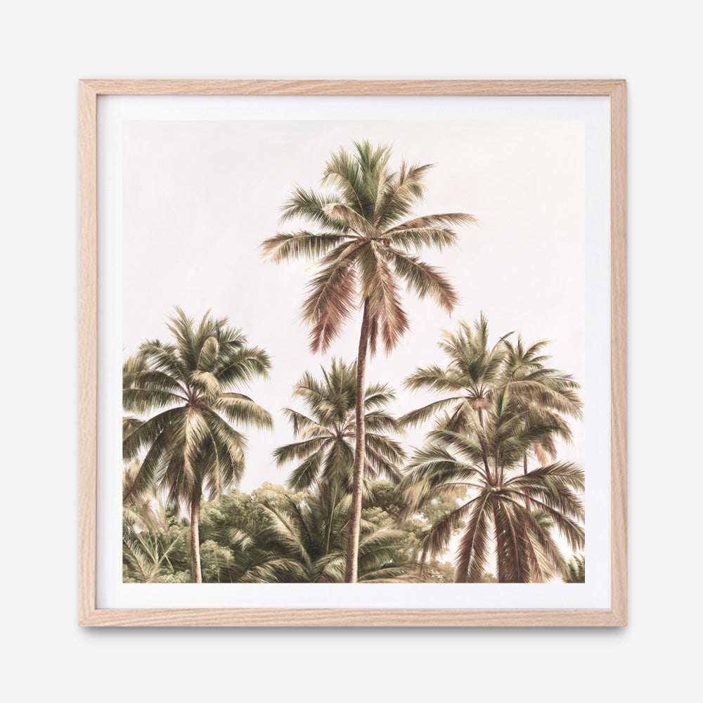 Buy Summer Palms II Square Art Print | The Print Emporium®