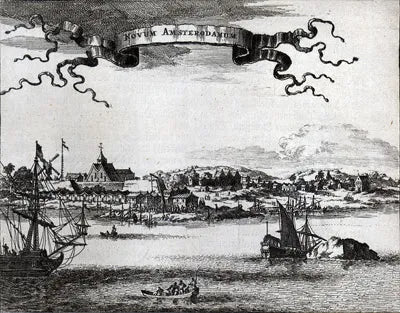 Dutch settlement in new amsterdam