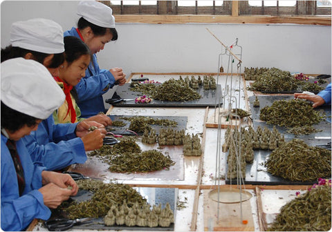 Chinese people Making flowering teas