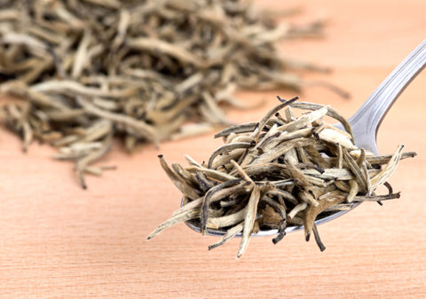 silver needle white tea on a spoon