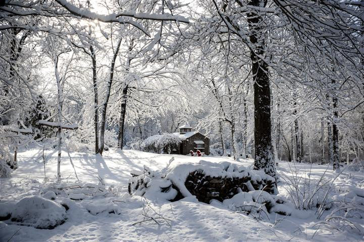 how to maintain your pergola during a new england winter
