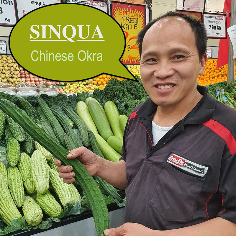 Singua Chinese Okra
