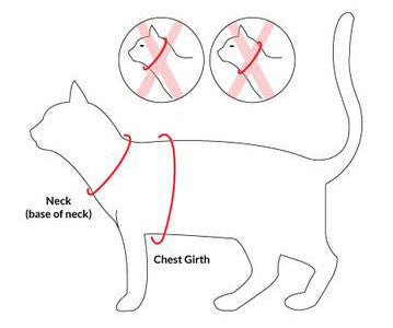 Kitty Holster Size Chart