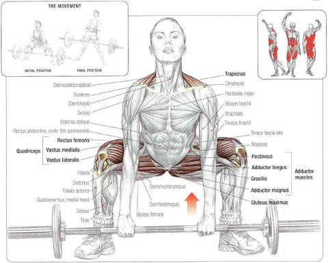 Deadlift Benefits