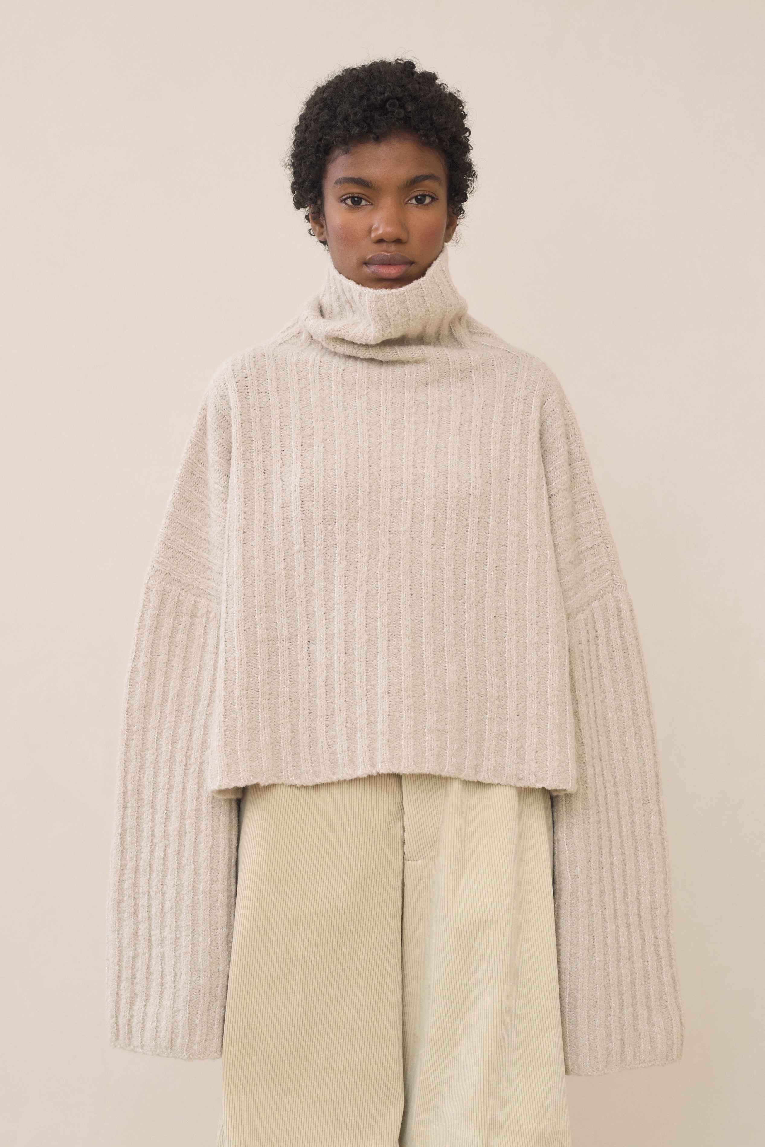 PLUSH RIB TURTLENECK