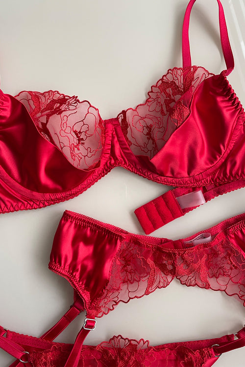 Premium New Amour Red Lingerie Set - Angie's Showroom