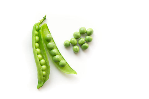 Open pea pod revealing identical peas