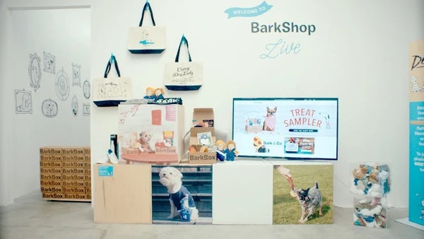 30+ Smart Pop-up Shop Ideas for Retailers in 2023