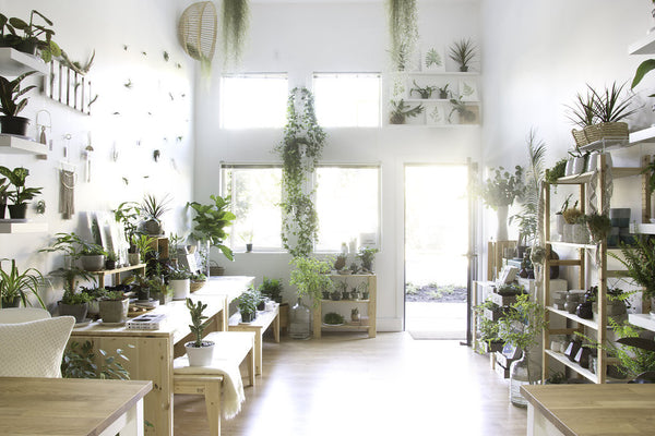 La Fleur Kitchen, Miroja | Shopify Retail blog