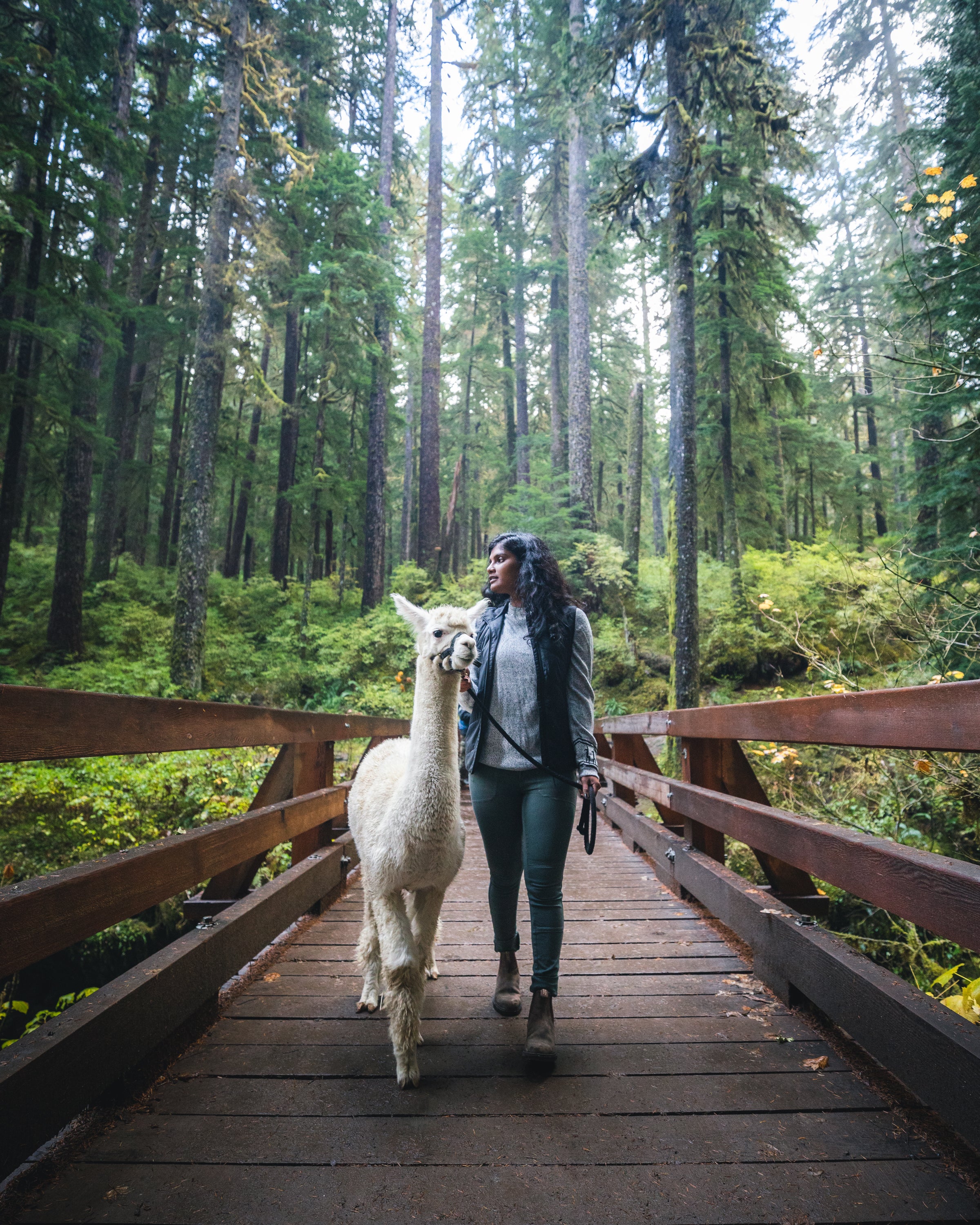 Chaska and Priya stroll through the Olympic Peninsula.  Photo by Michael Matti