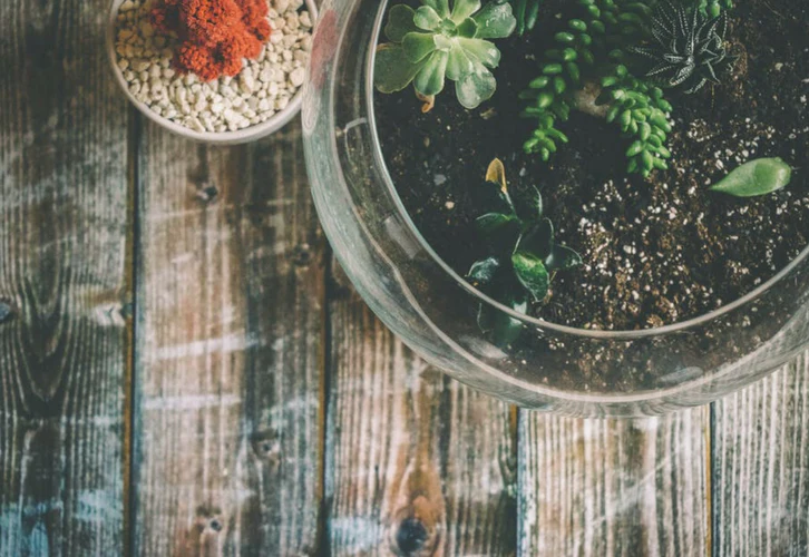 How to make a terrarium | Shopify Retail blog