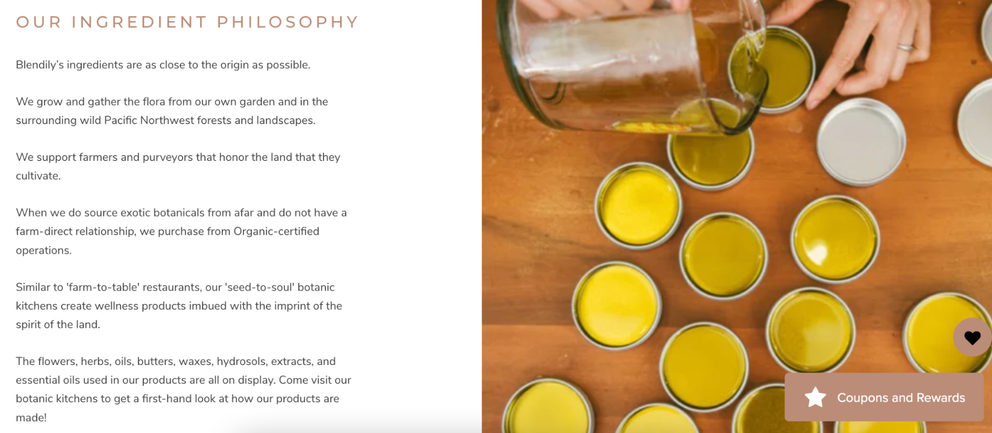 Screenshot of Blendily Our Ingredient Philosophy writeup