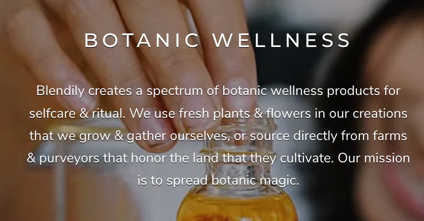 Screenshot of Blendily Botanic Wellness writeup