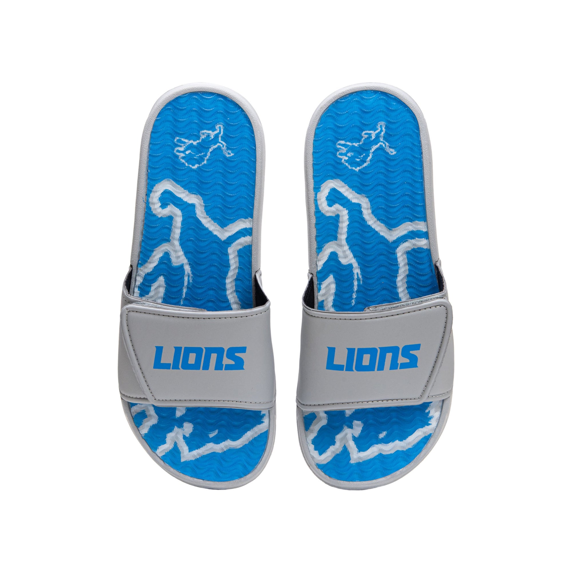 detroit lions wordmark