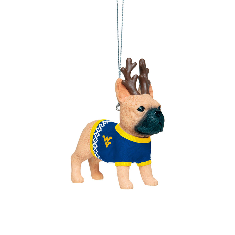 wvu dog sweater