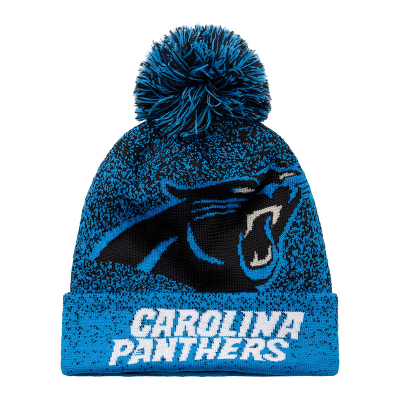 nfl panthers beanie