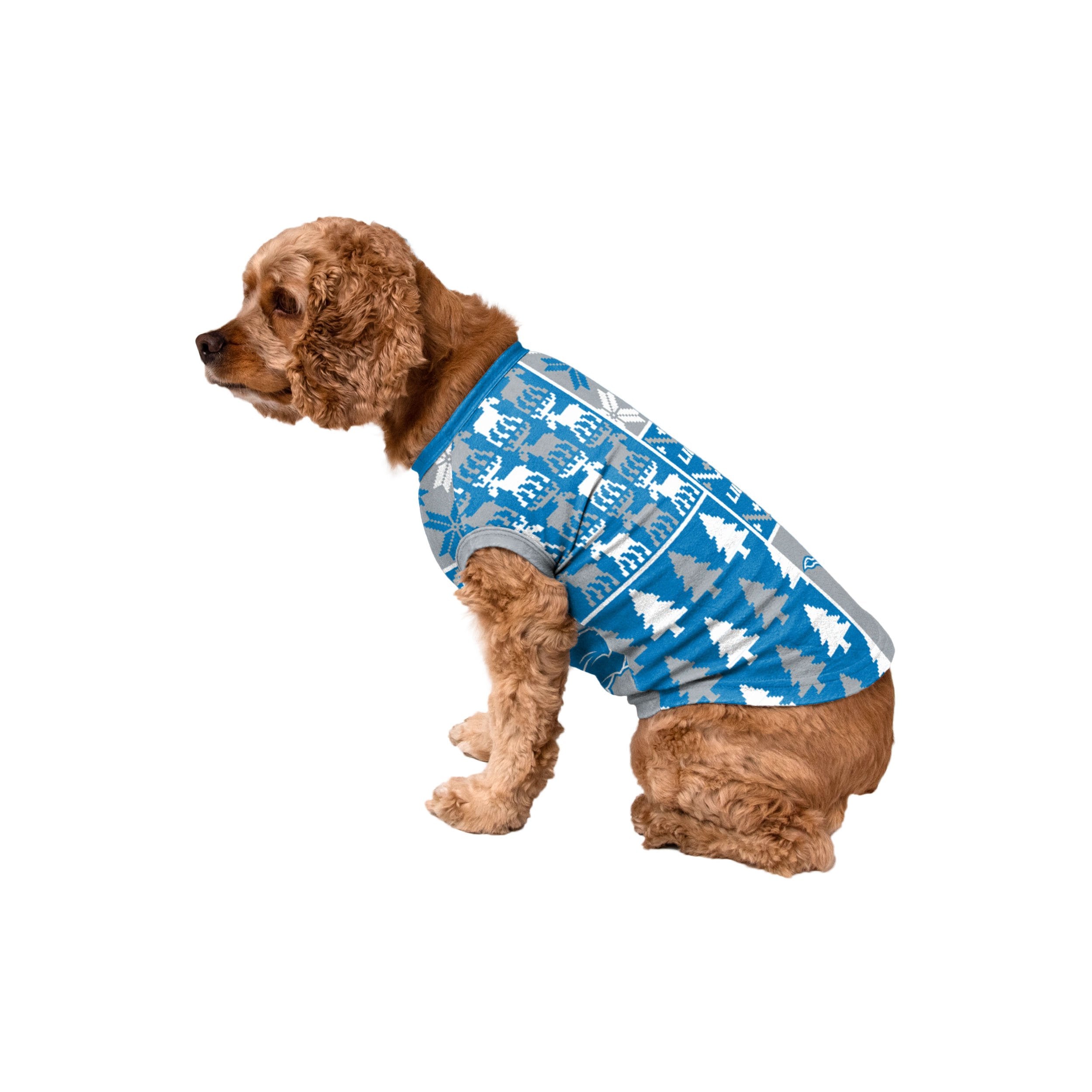 detroit lions dog jersey