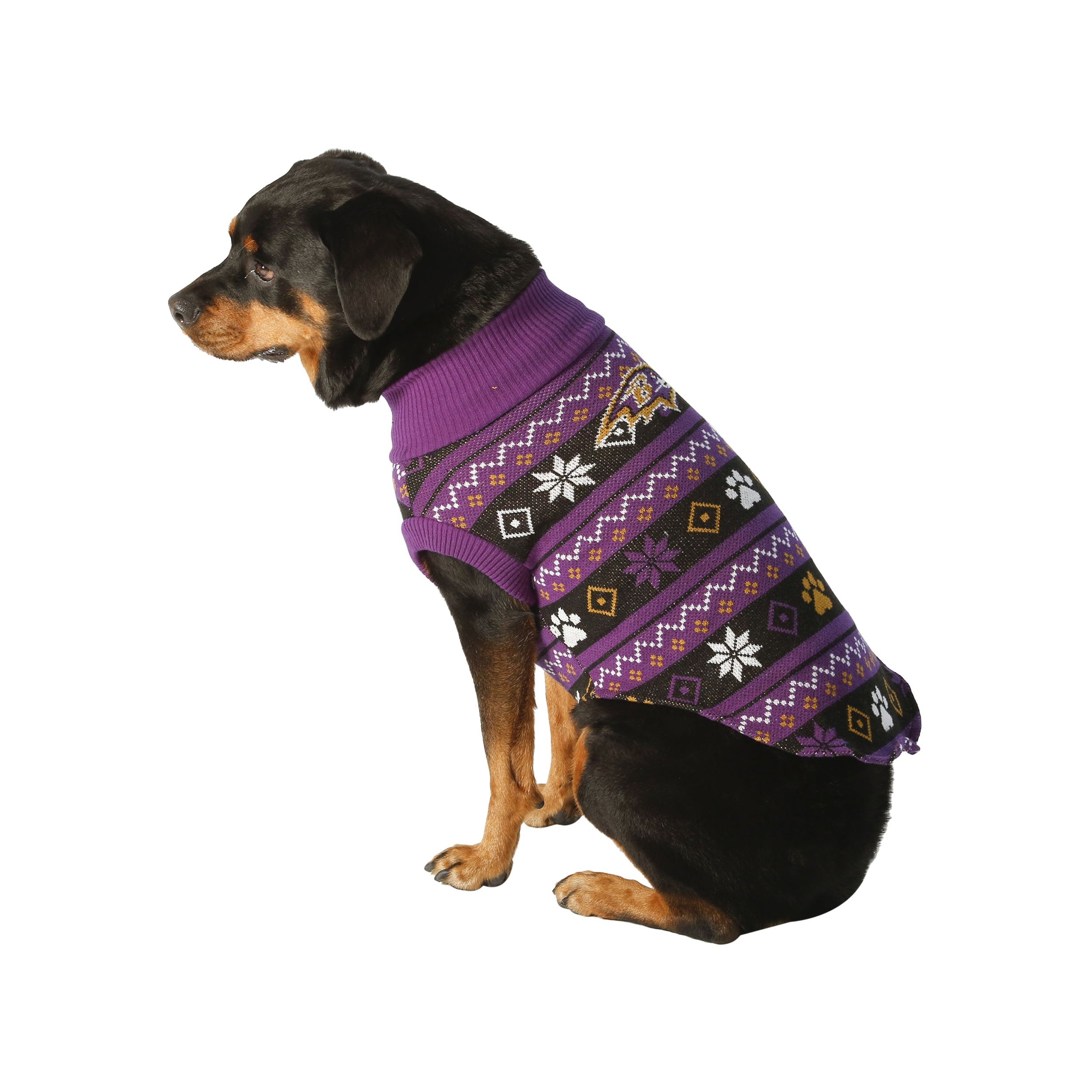 oregon ducks dog sweater