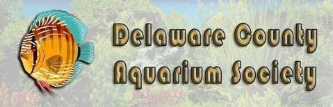 Delaware County Aquarium Society