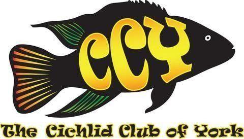 The Cichlid Club of York