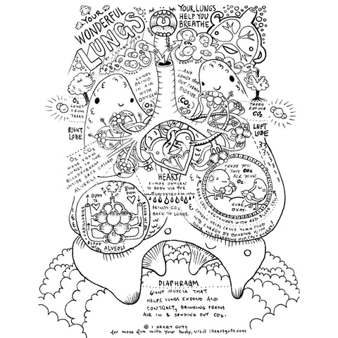 anatomically correct brain coloring pages