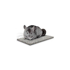 Kaytee Chinchilla Chiller Granite Stone at Canadian Pet Connection