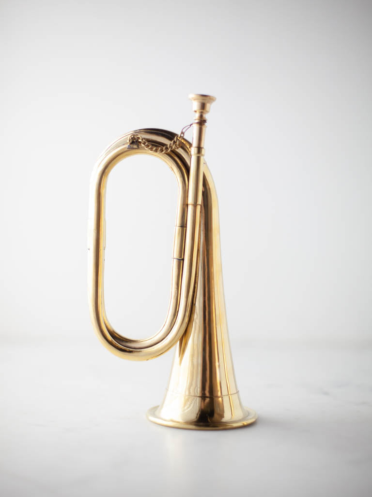 Brass Horns – Heirloom Art Co.
