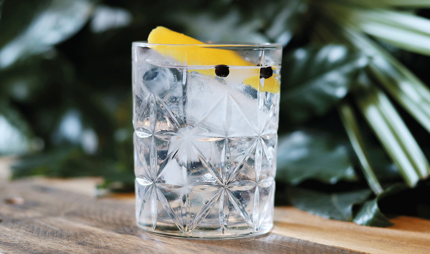 gin tonic botanicals zitrone cocktail rezept