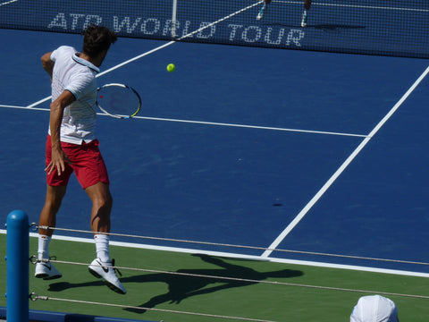 Feliciano Lopez's one-handed backhand