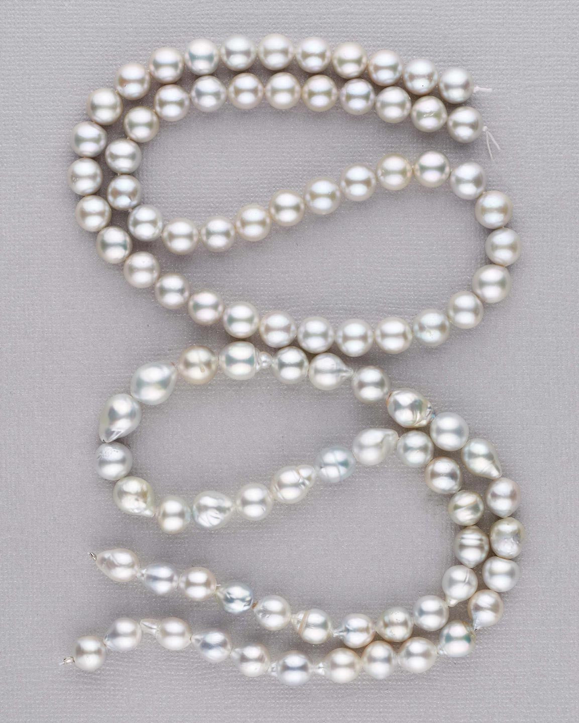 Red Sea Cultured Pearls: yes, they do exist – Pearl Paradise