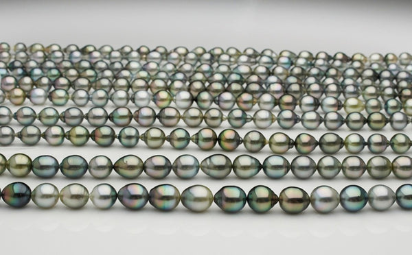 multicolor Tahitian pearls