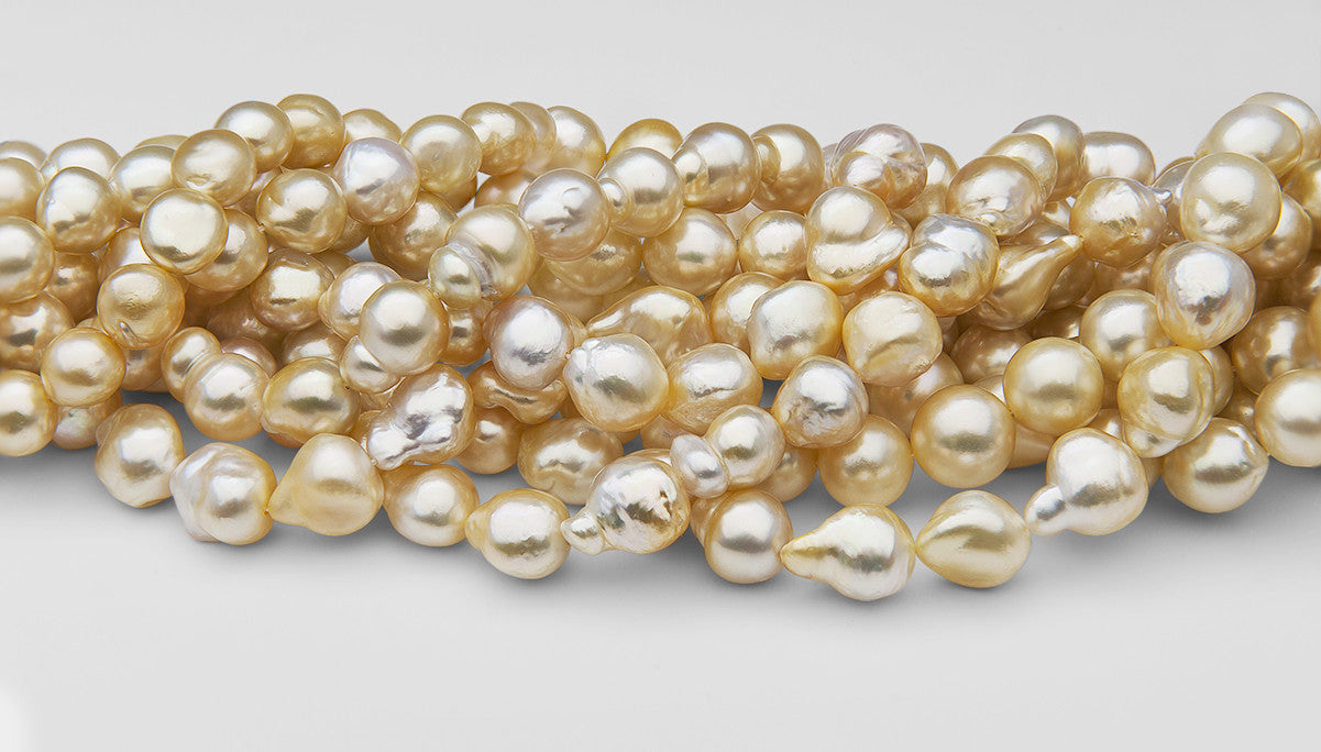 golden southsea pearl fresh from palawan pearl farm