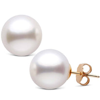 12.0-13.0 mm AAA White South Sea Pearl Stud Earrings wg