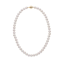 7.5-8.0 mm 16 inch AAA White Akoya Pearl Necklace White Gold