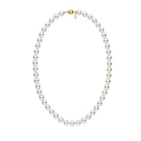 Certified 8.5-9.0 mm 18 Inch Natural White Hanadama Akoya Pearl Necklace white gold polished clasp