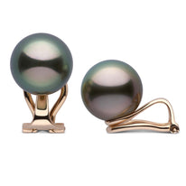 Clip Collection Tahitian 10.0-11.0 mm Pearl Stud Earrings white gold