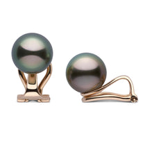 Clip Collection Tahitian 8.0-9.0 mm Pearl Stud Earrings wg