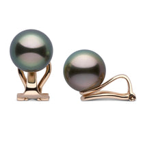 Clip Collection Tahitian 9.0-10.0 mm Pearl Stud Earrings wg