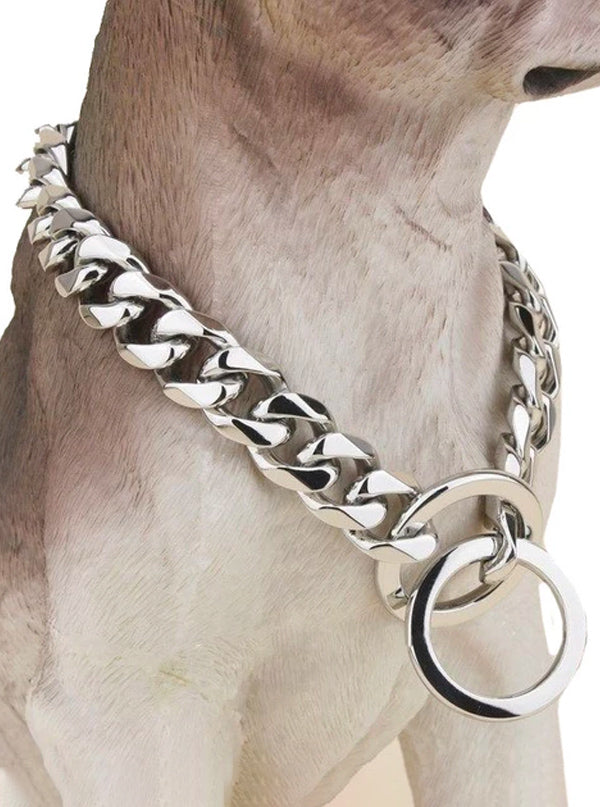 dog collar and chain