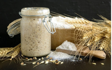 Care and Feeding of Your Sourdough Starter