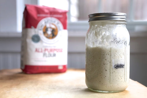 Glass Canning Jars with Starter